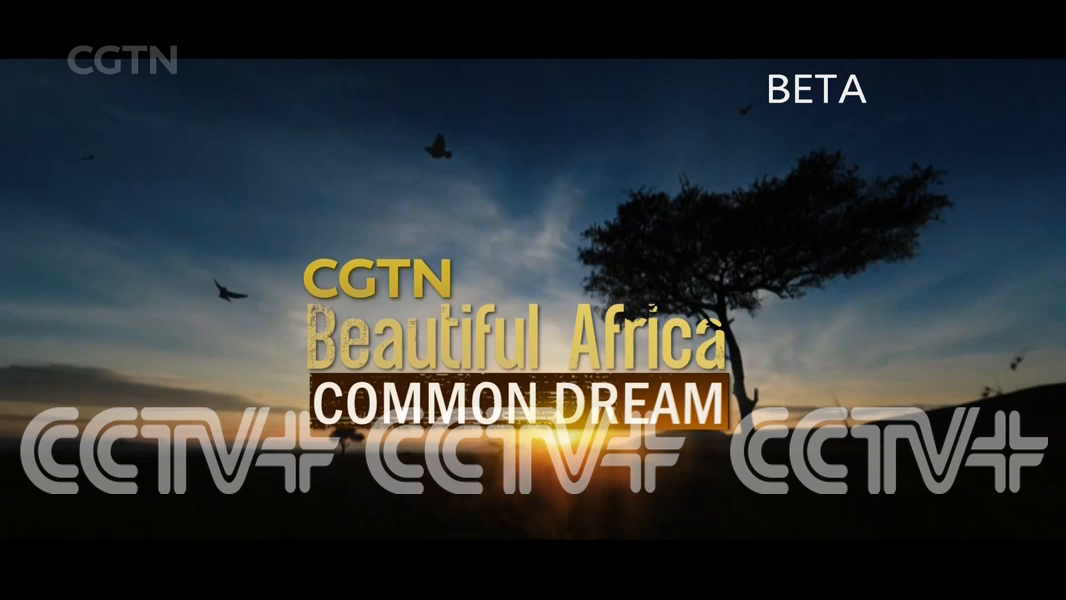 Watch CCTV+ 1