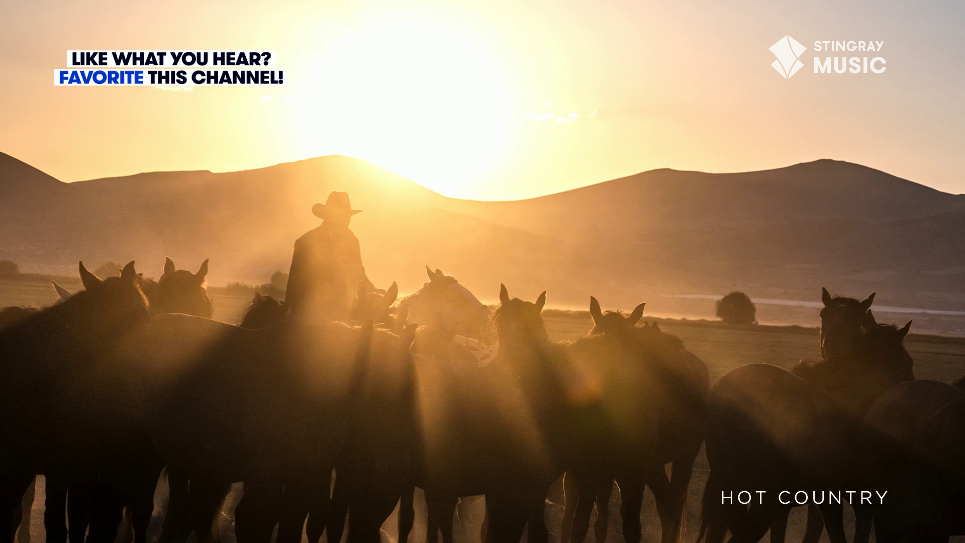 Watch Stingray Hot Country